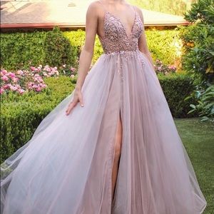 Andrea & Leo A0672 Embroidered Gown Size 2 in Rosewood